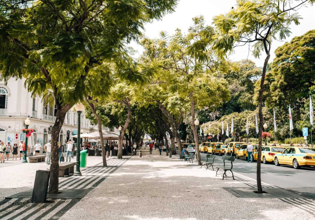 Shaded pedestrian walkway in Funchal lined with lush green trees, black and white pavement, and park benches, with a row of yellow taxis parked along the street.