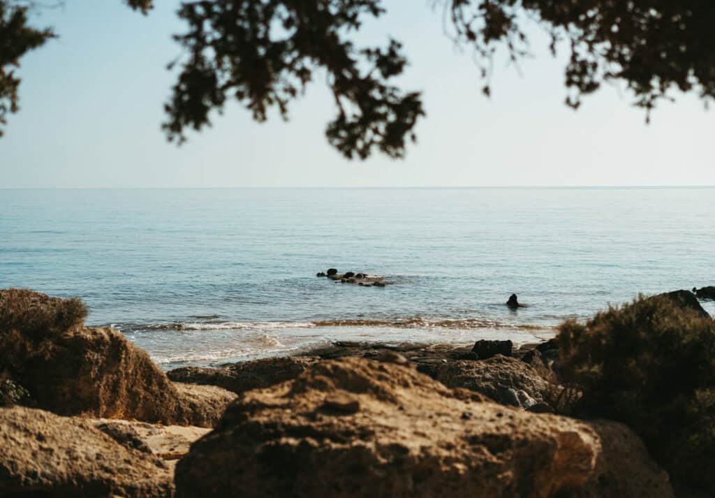 View from behind the natural foliage framing the serene coastline of Kedrodasos Beach, where gentle waves lap at the sandy shore, and a rock formation rises from the calm sea against the backdrop of a clear horizon