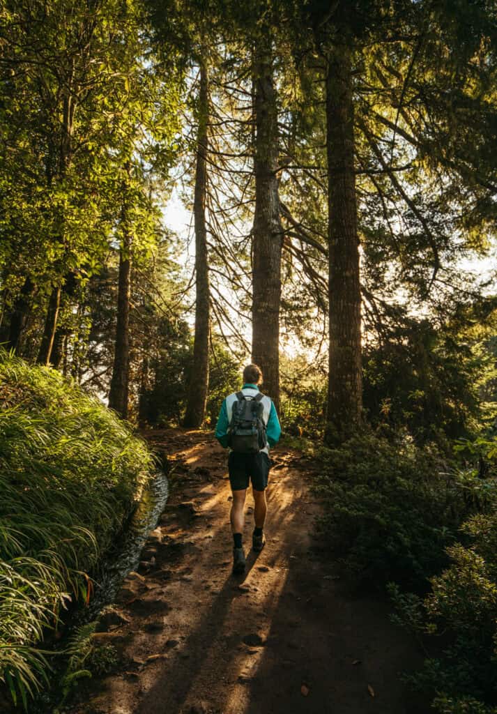 Caleb walks along a forest trail, bathed in the warm, golden light of the setting sun. Tall trees with lush green foliage line the path. The scene captures the beauty of nature and the tranquility of hiking in Caldeirão Verde, Madeira, Portugal.