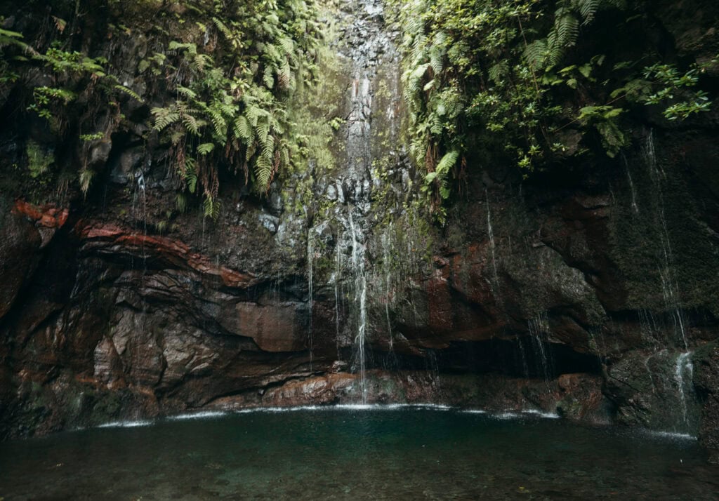 Small waterfall cascading down a rocky cliff into a serene pool of water, surrounded by lush green ferns and moss. The scene is tranquil, highlighting the natural beauty of the Levadas 25 Fontes in Madeira, Portugal.