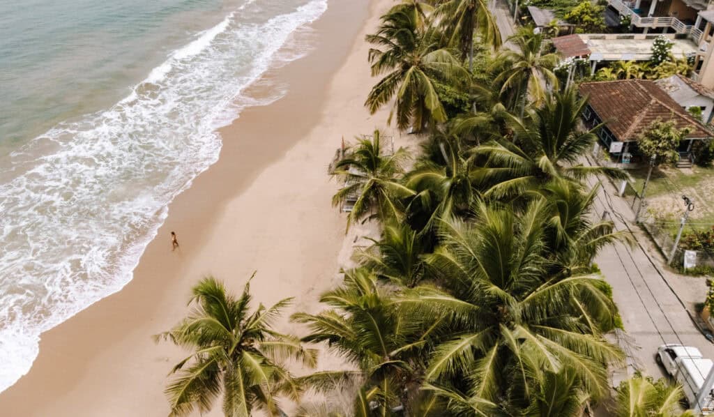 an aerial view of Tangalle Beach in Sri Lanka. There are beautiful palm trees hanging over the shore and you can see Sarah walking in the sand
